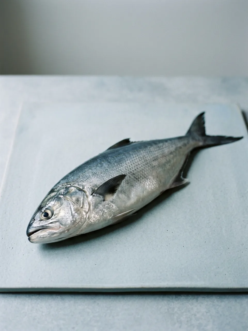 Pesce di stagione 29