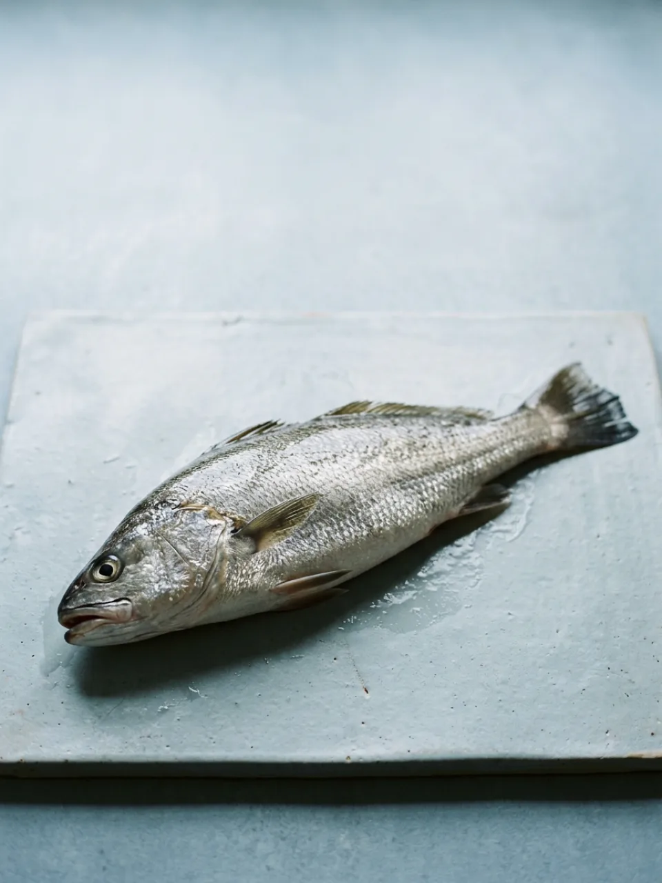 Pesce di stagione 32