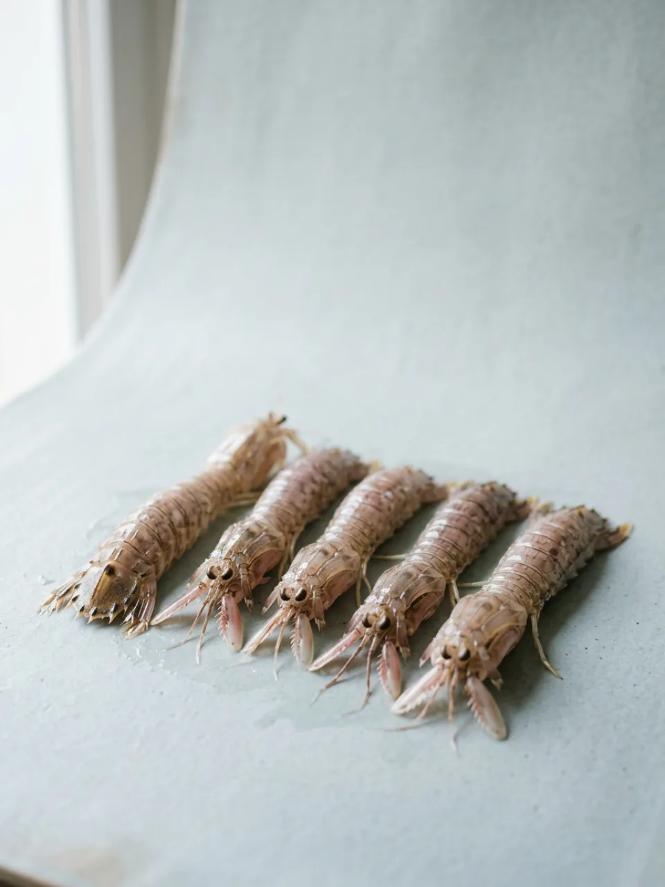 Pesce di stagione 34