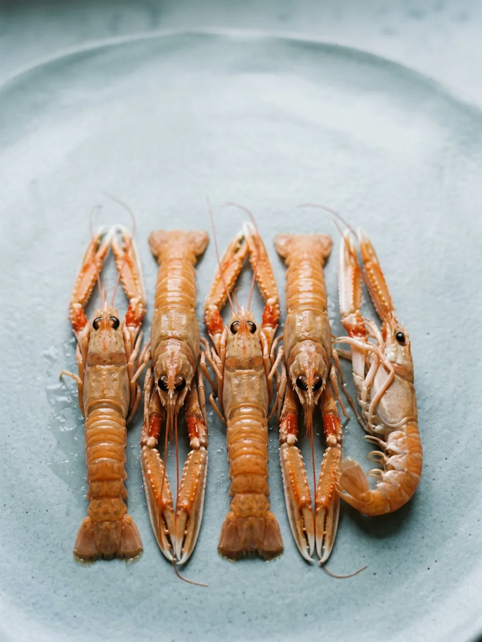 Pesce di stagione 39