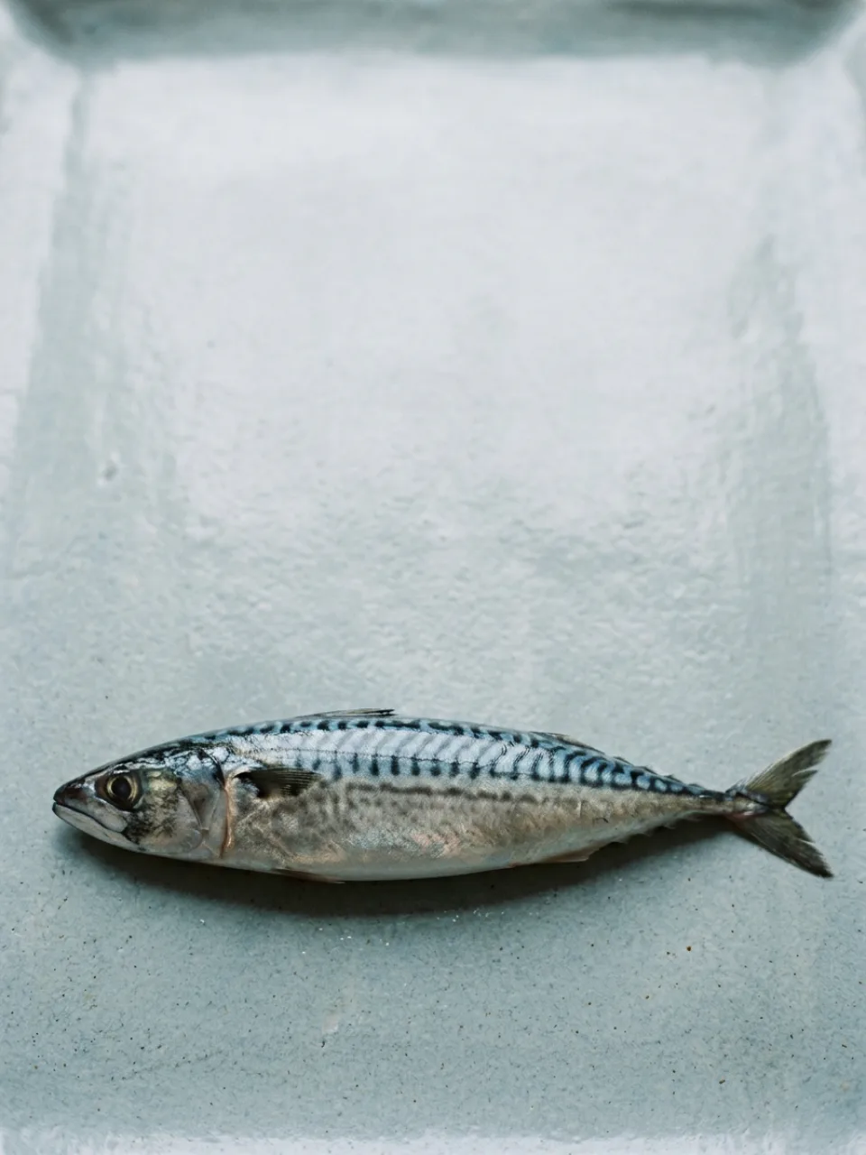Pesce di stagione 3