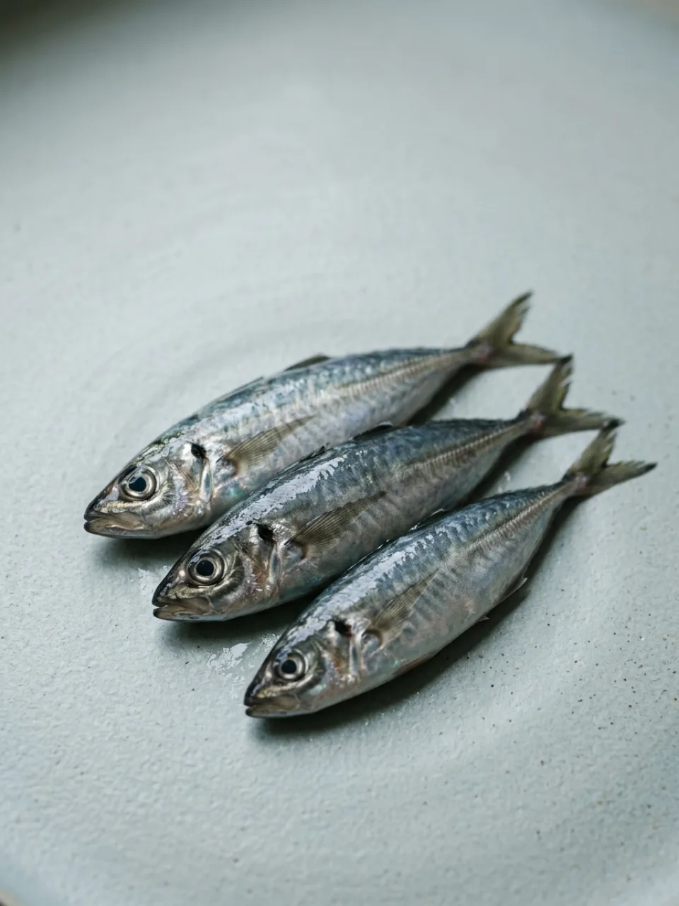 Pesce di stagione 41